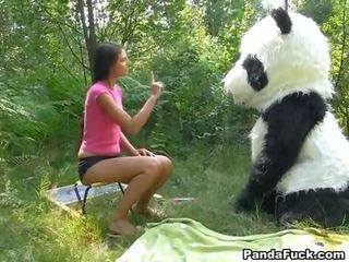 Seks video di itu hutan dengan sebuah besar mainan panda