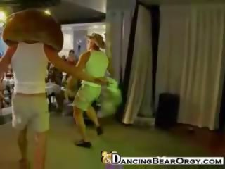 רוקדים דוב חשפניות perform ל oversexed נשים